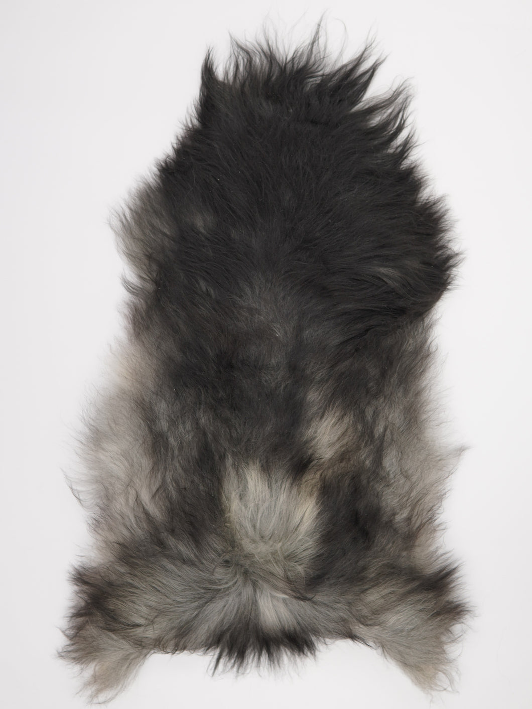 Pilkas islandiškas avikailis XXL