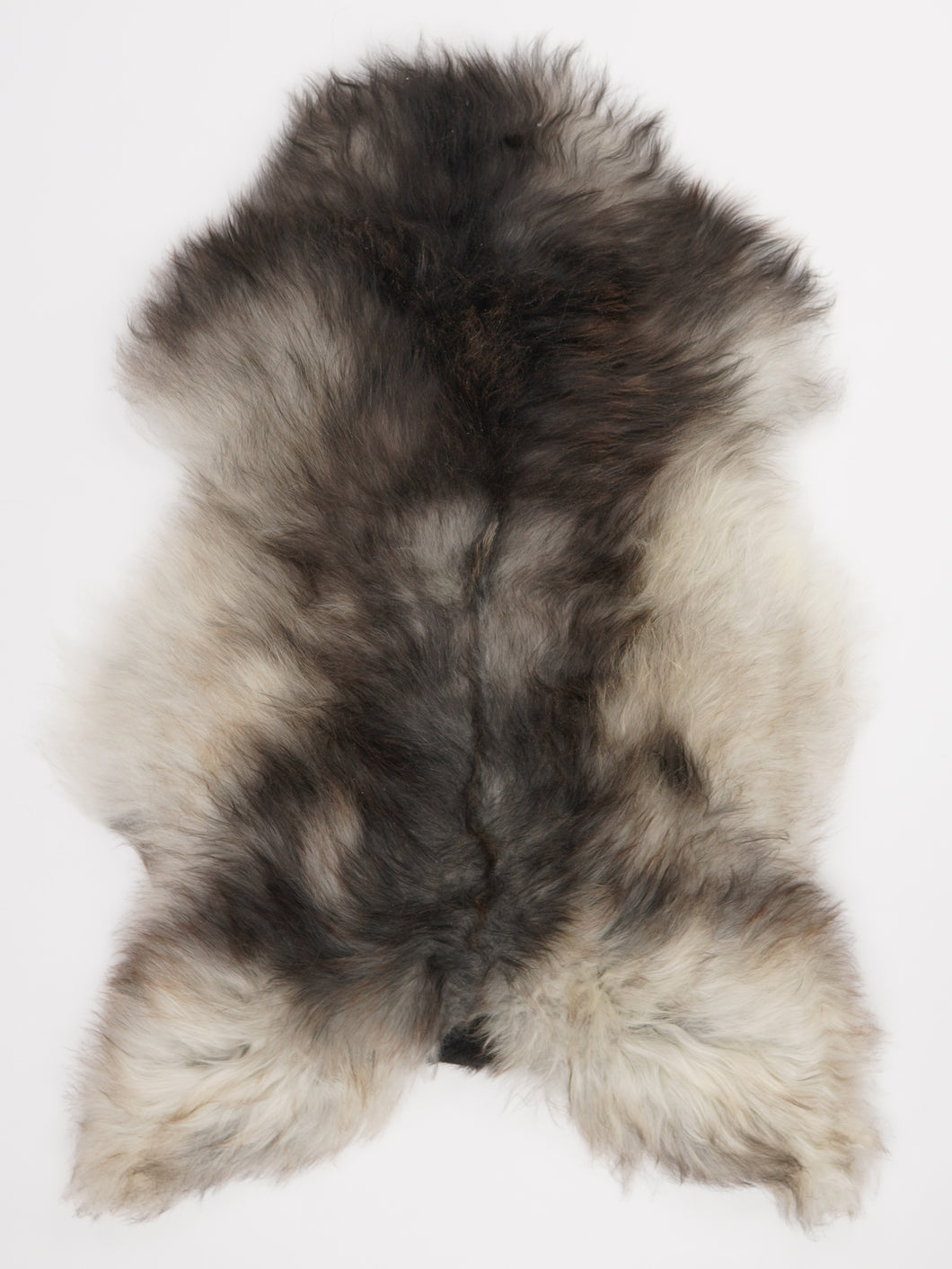 Pilkas islandiškas avikailis L