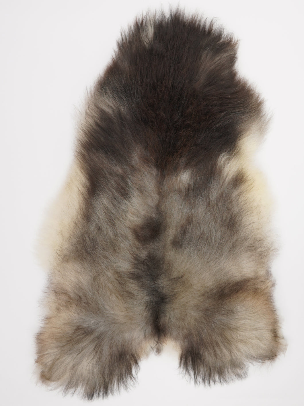 Pilkas islandiškas avikailis XL