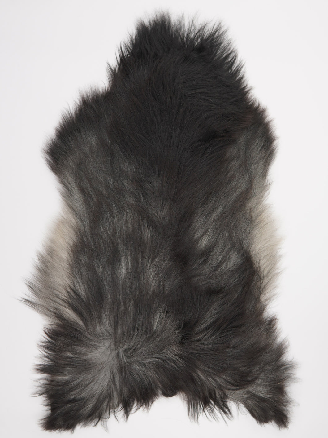 Pilkas islandiškas avikailis XXL