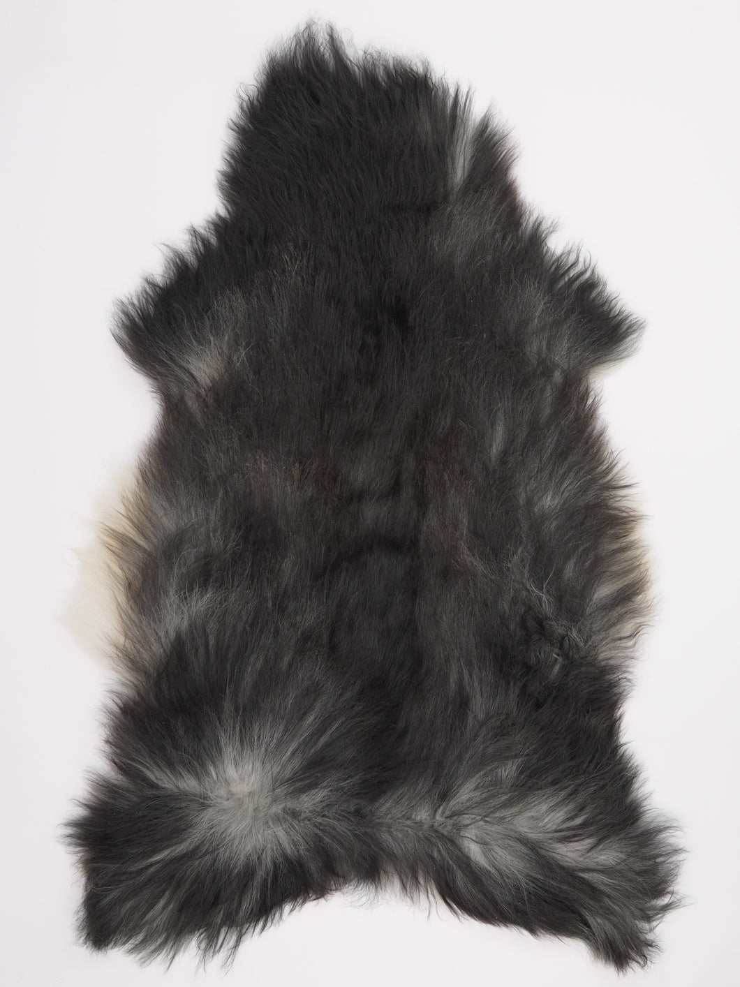 Pilkas islandiškas avikailis XL