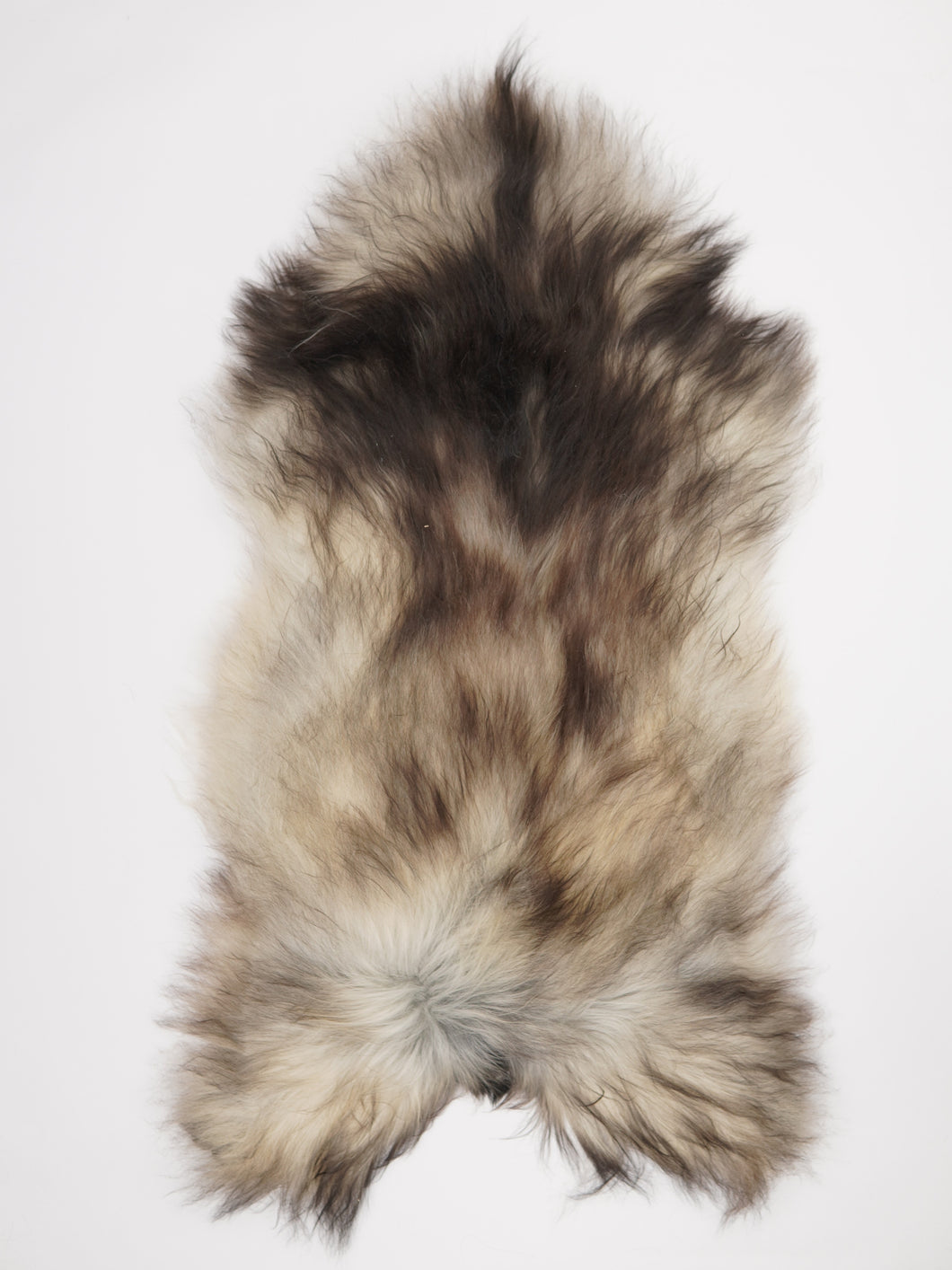 Pilkas islandiškas avikailis XXXL