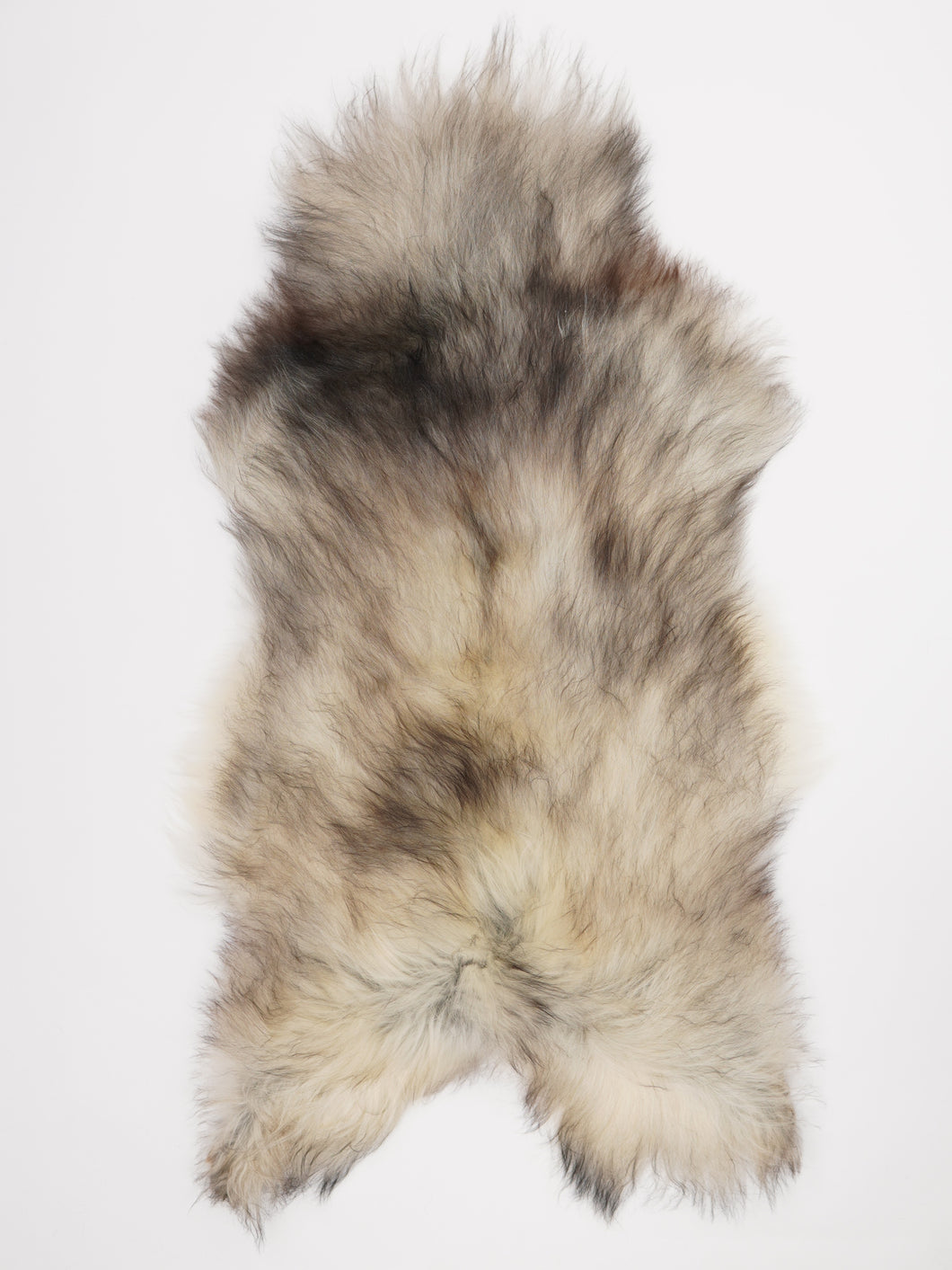 Pilkas islandiškas avikailis XL