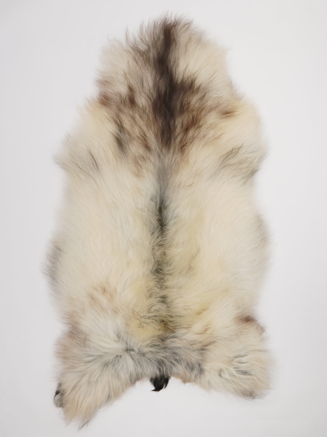 Islandská ovčí kůže XXL