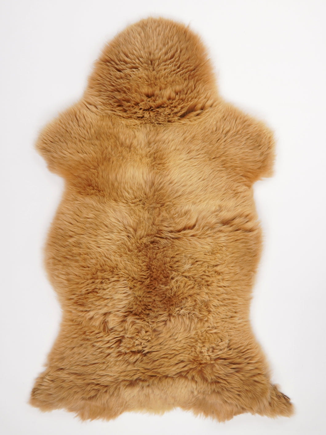 Įvairiaspalvis avikailis XL