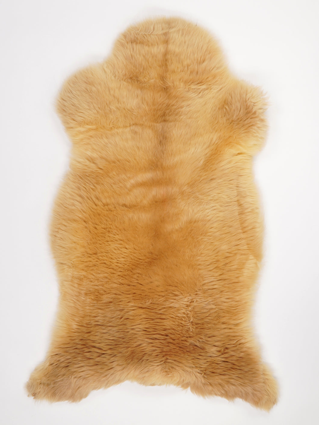 Įvairiaspalvis avikailis XL