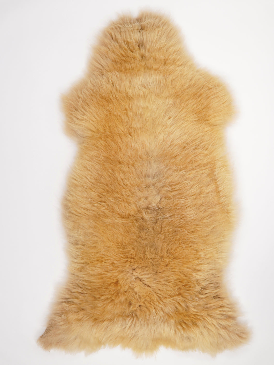 Įvairiaspalvis avikailis XXL