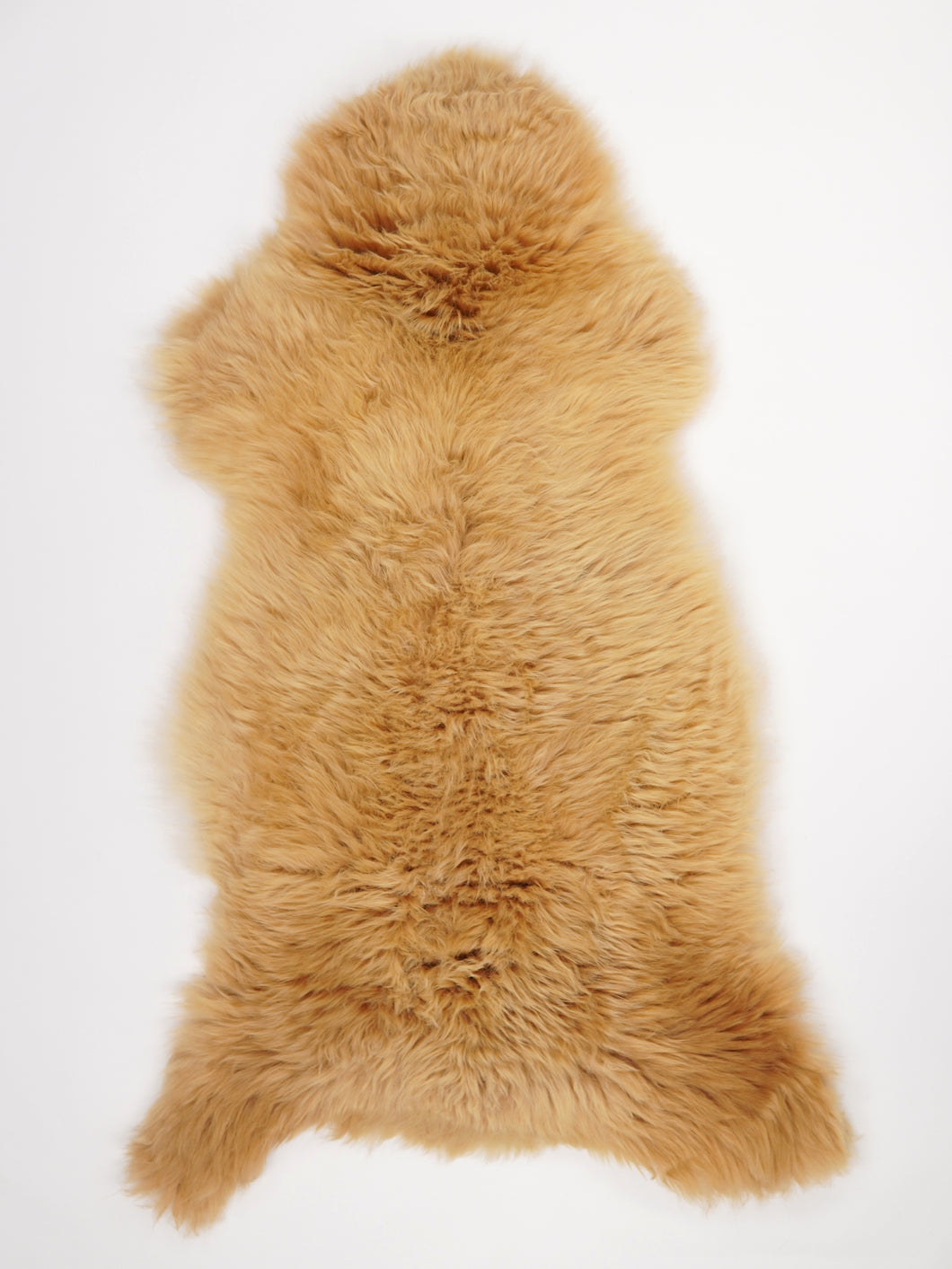 Įvairiaspalvis avikailis XXL