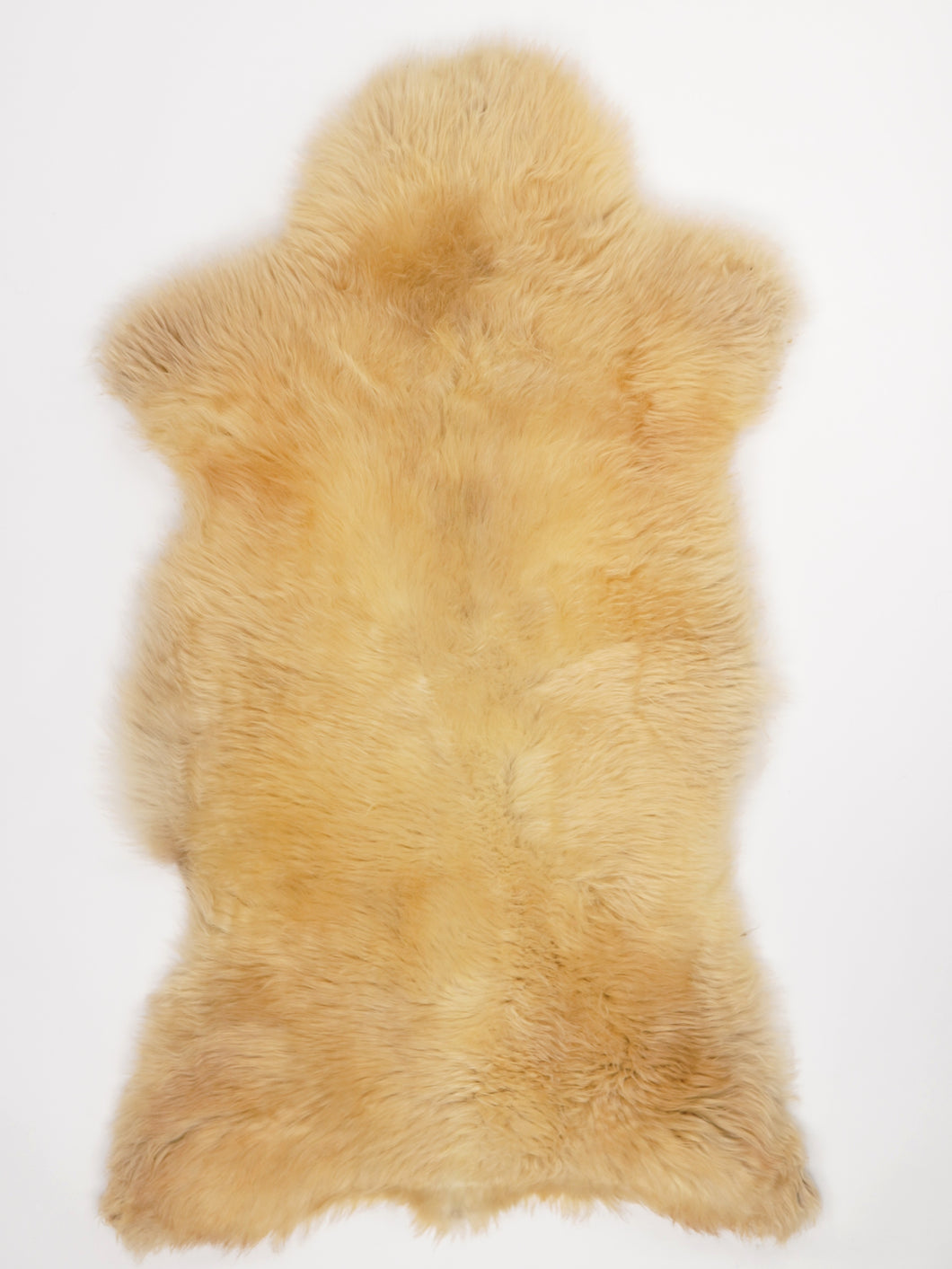 Įvairiaspalvis avikailis XL