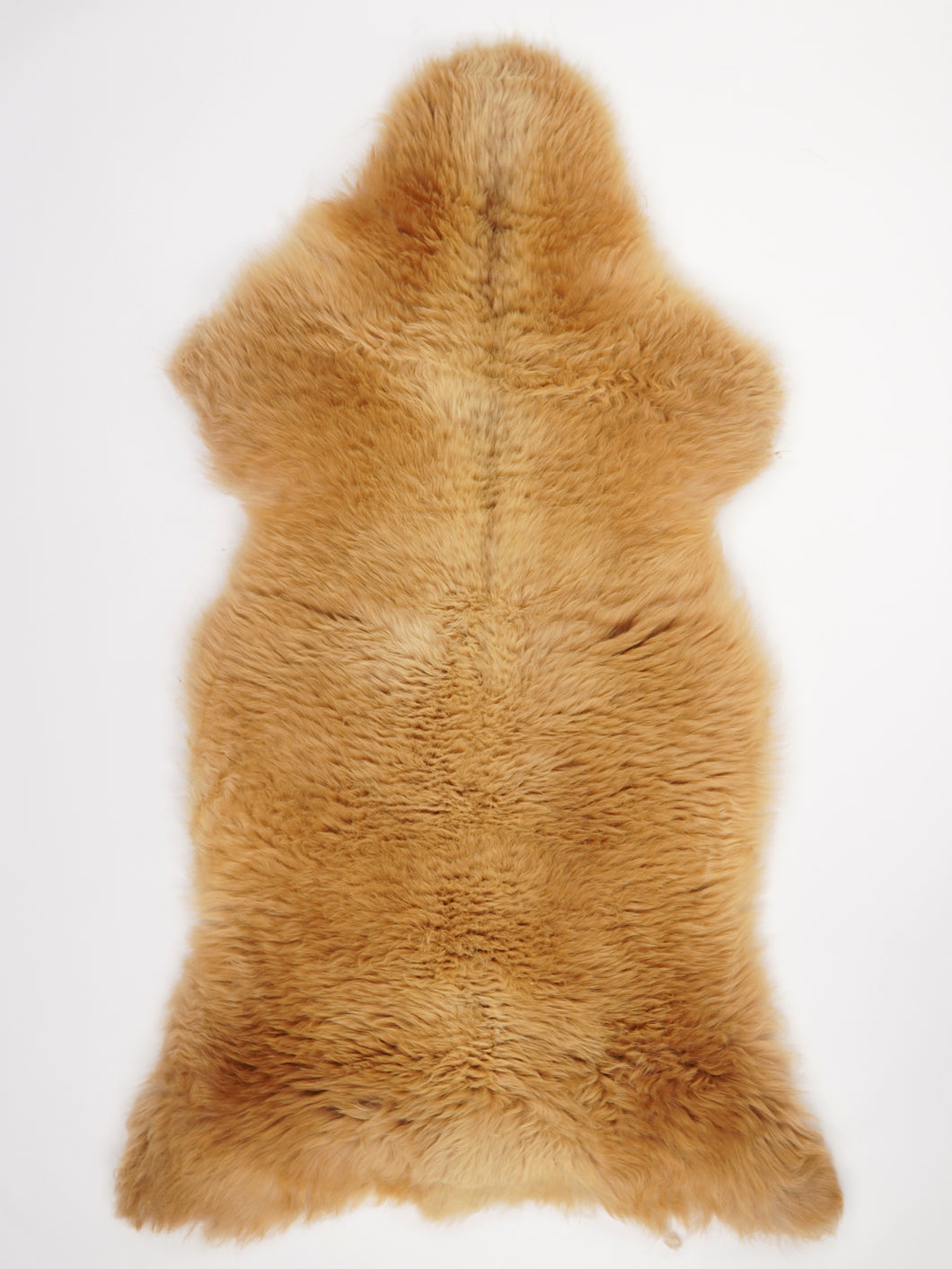 Įvairiaspalvis avikailis XXL