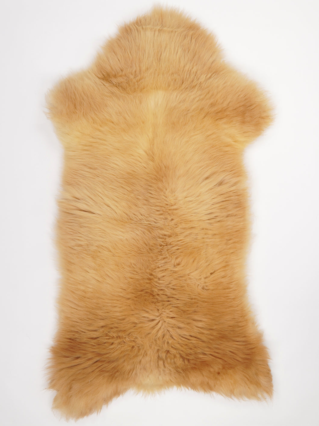 Įvairiaspalvis avikailis XL