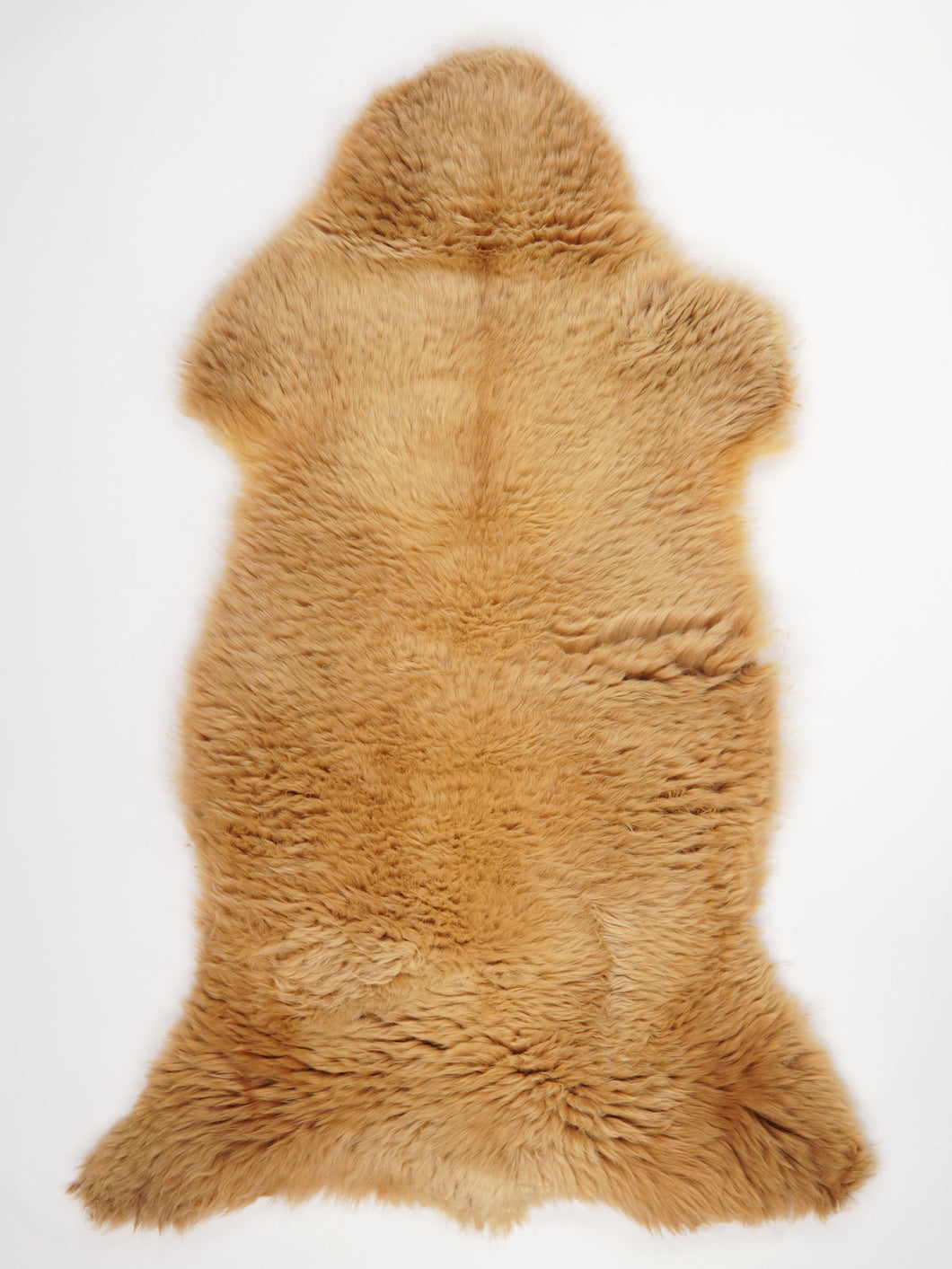 Įvairiaspalvis avikailis XXL