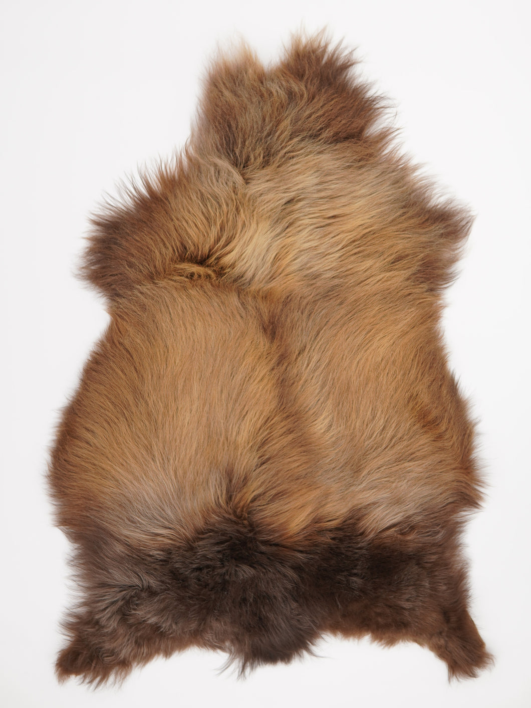 Islandská ovčí kůže XXXL