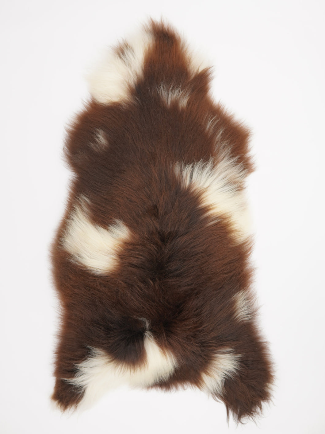 Islandská ovčí kůže XXXL