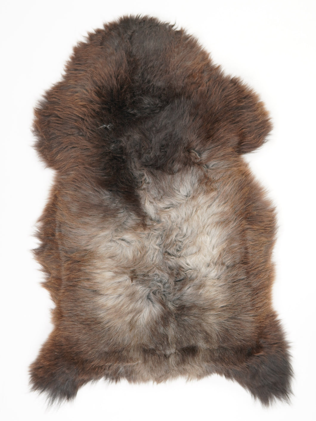 Įvairiaspalvis avikailis XL