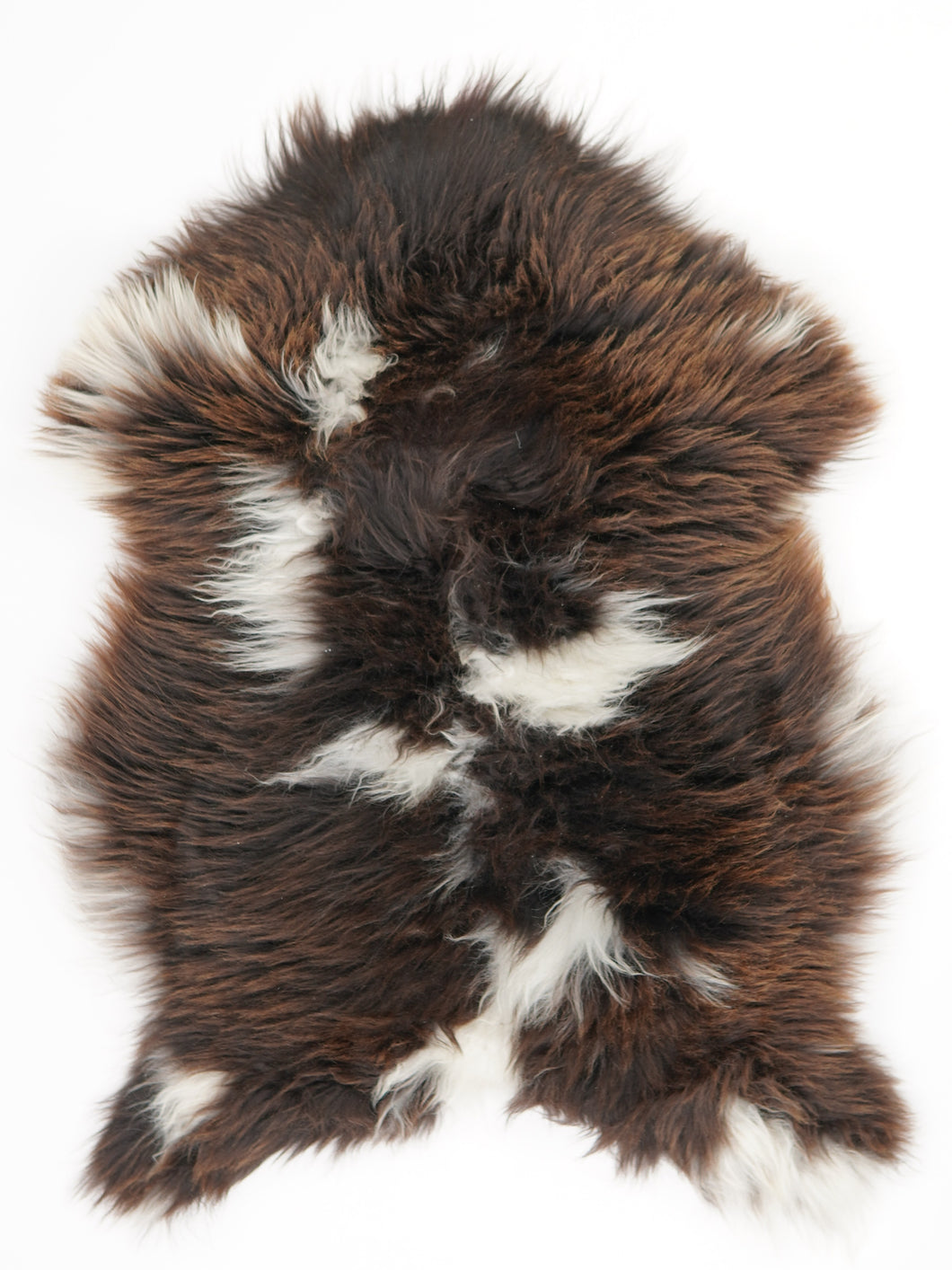 Įvairiaspalvis avikailis M