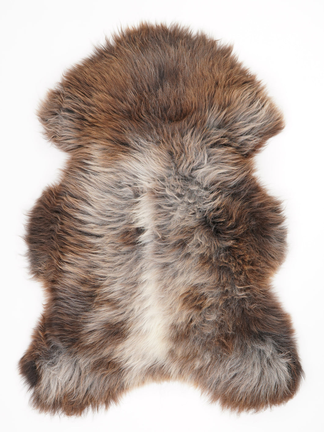 Įvairiaspalvis avikailis XL