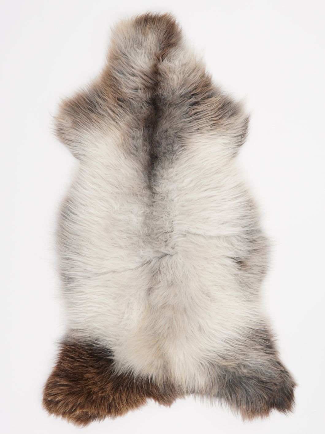 Įvairiaspalvis avikailis XL