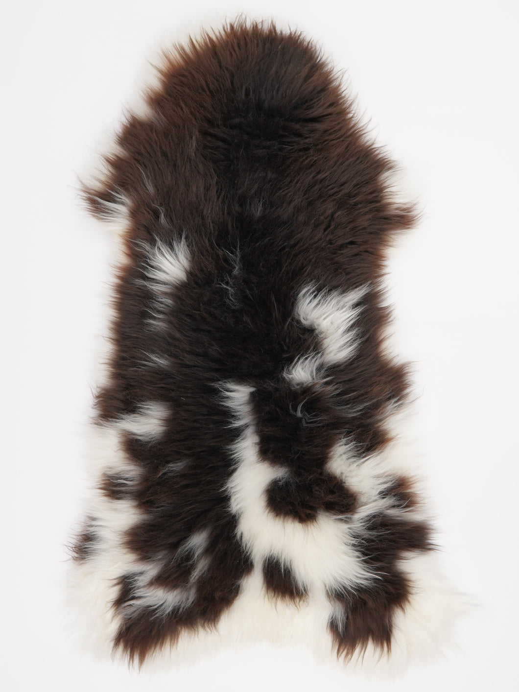 Įvairiaspalvis avikailis XL