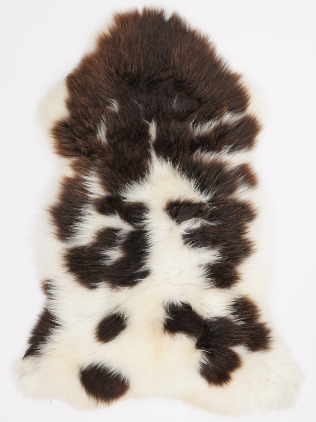 Įvairiaspalvis avikailis XL