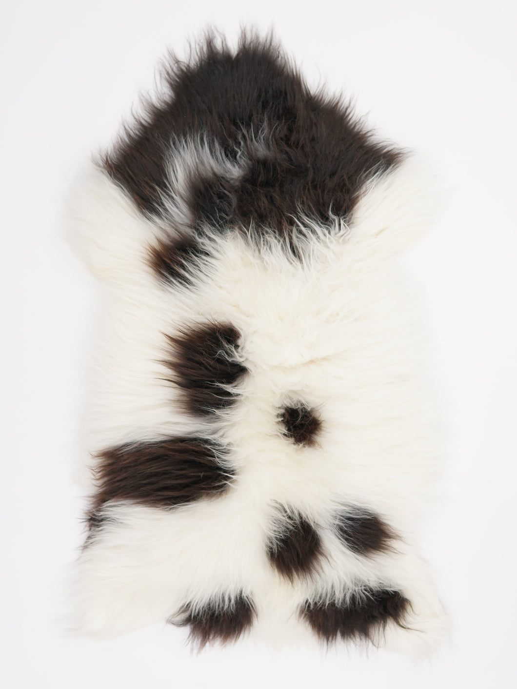 Įvairiaspalvis avikailis XL