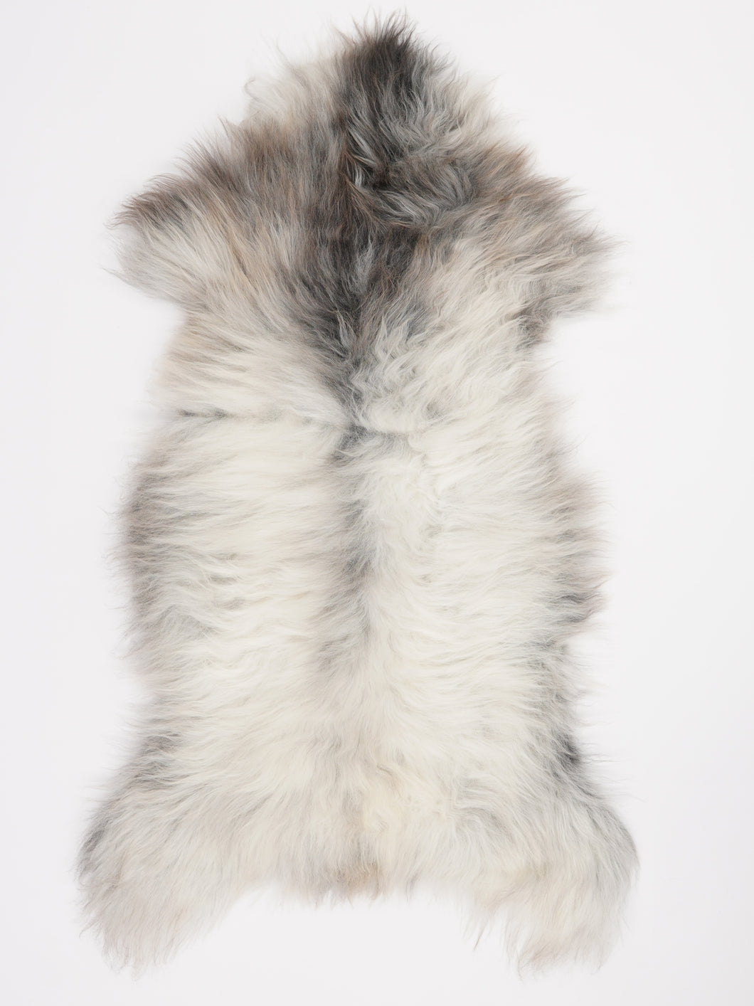 Įvairiaspalvis avikailis XL