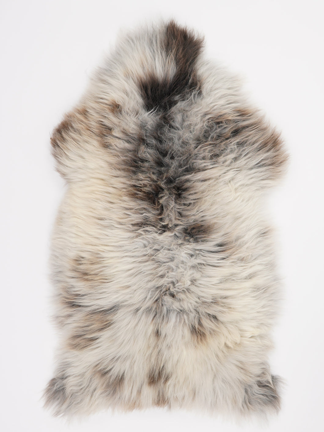 Įvairiaspalvis avikailis XL