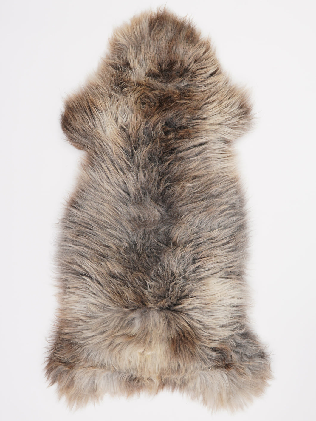 Įvairiaspalvis avikailis XL