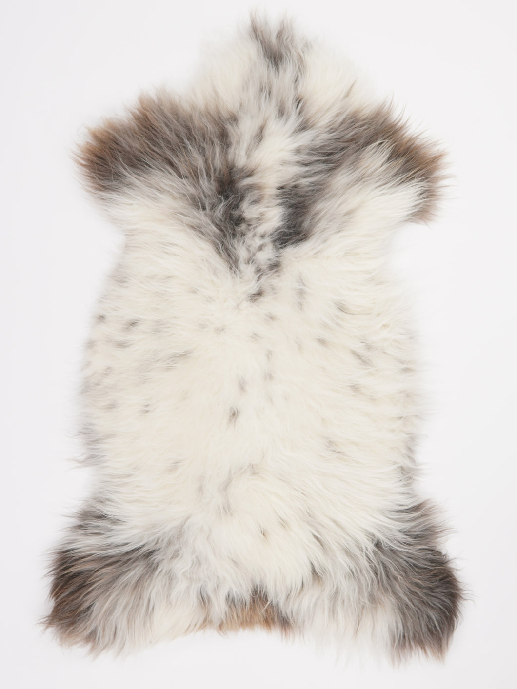 Įvairiaspalvis avikailis XL