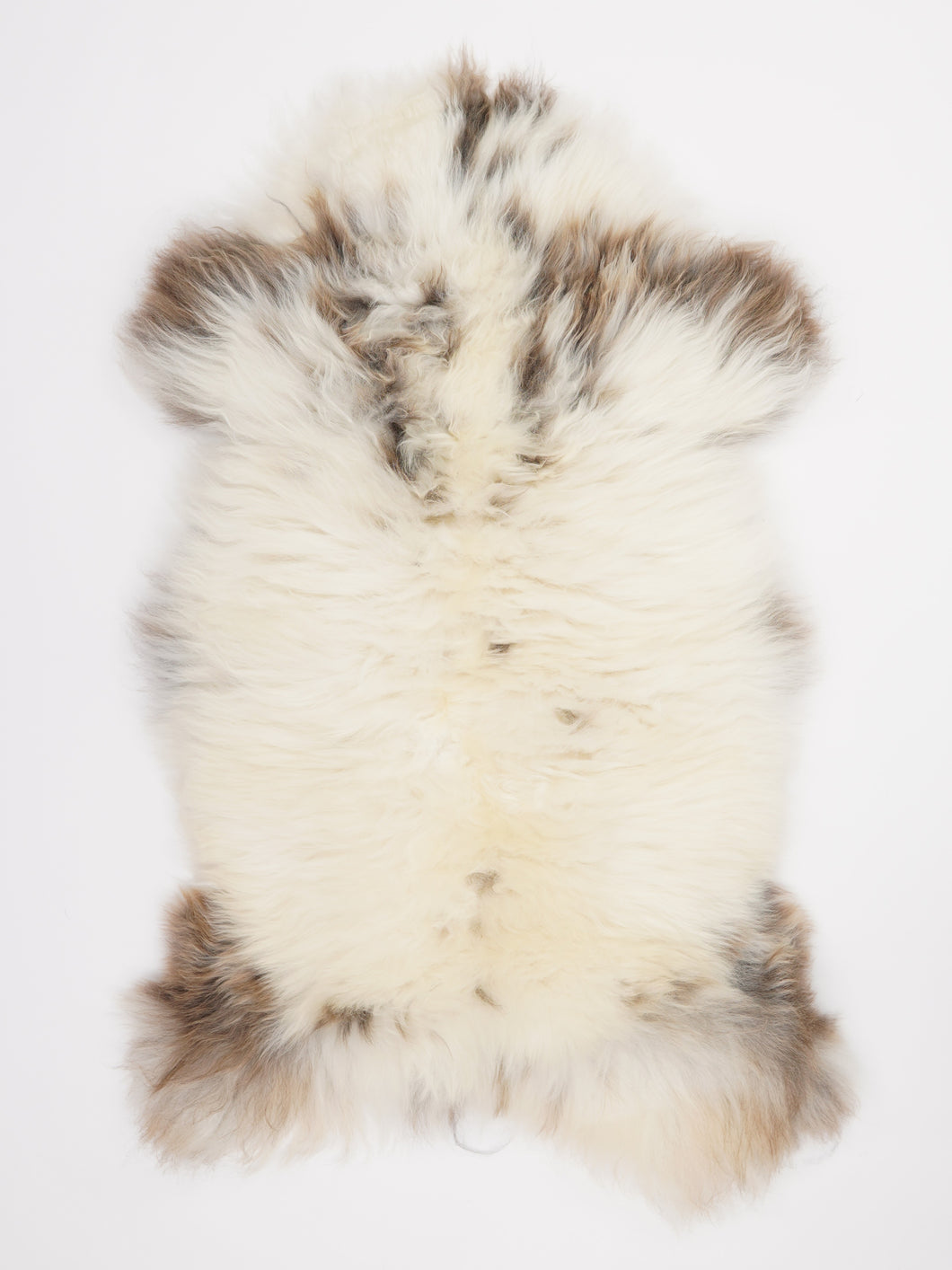 Įvairiaspalvis avikailis XL