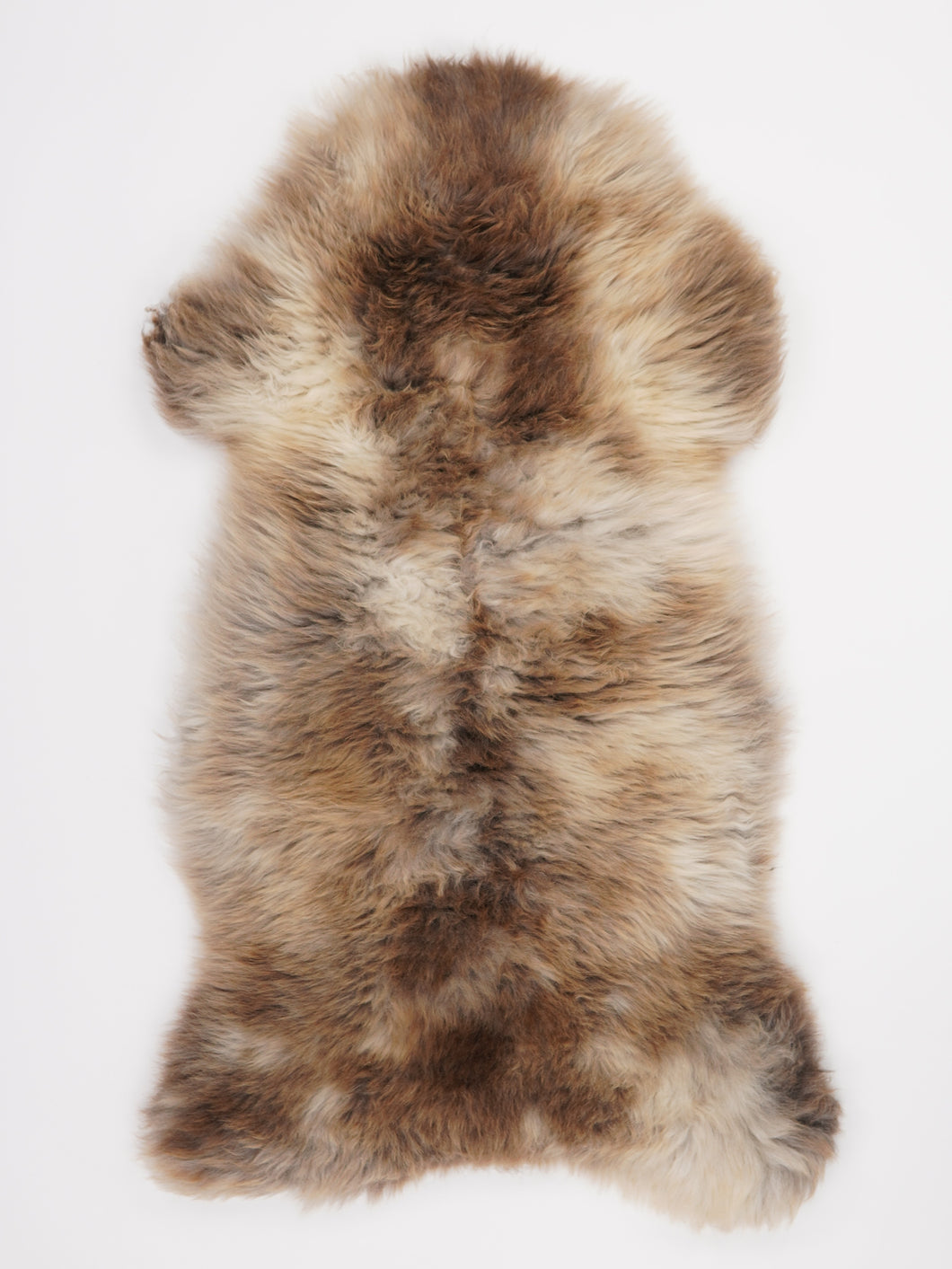 Įvairiaspalvis avikailis XL