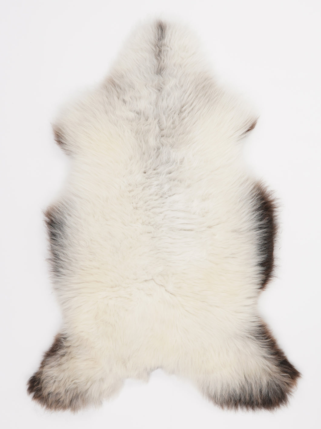 Įvairiaspalvis avikailis M