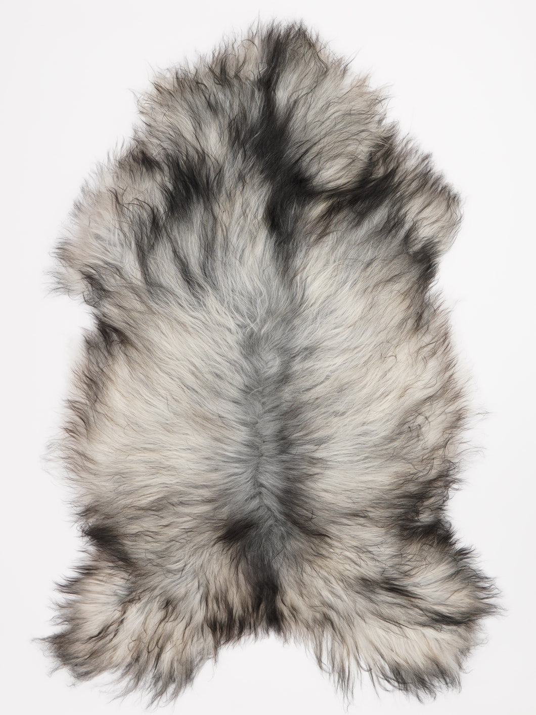 Pilkas islandiškas avikailis XL