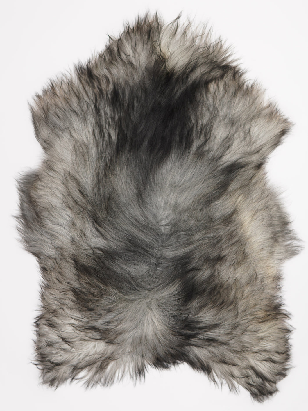 Pilkas islandiškas avikailis XXL