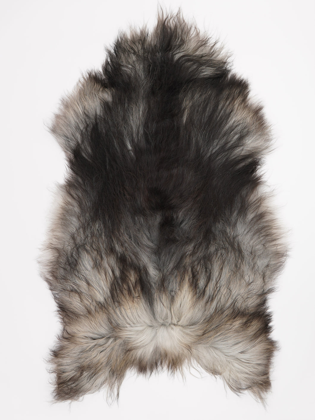 Pilkas islandiškas avikailis XXXL