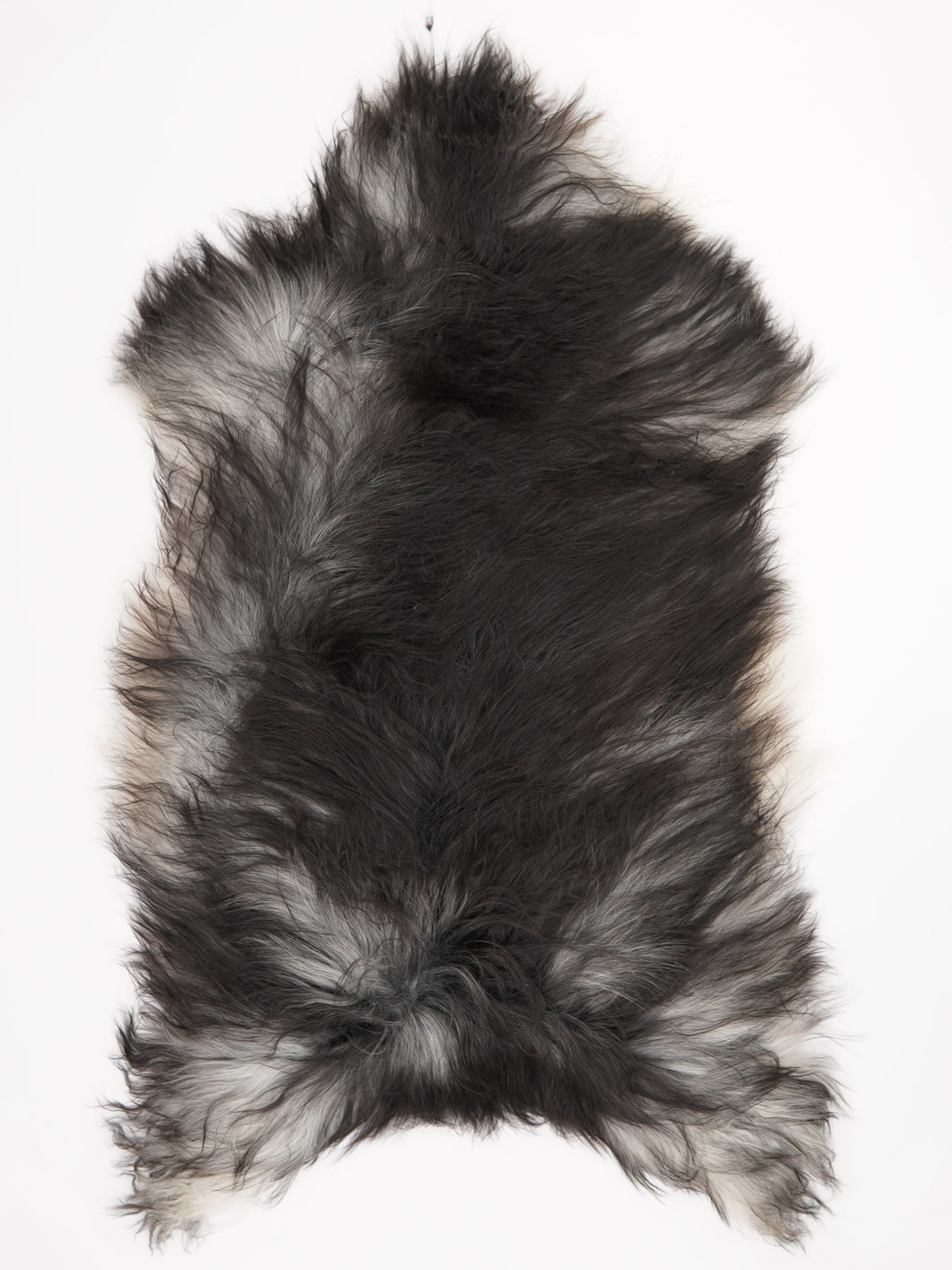 Pilkas islandiškas avikailis XXXL