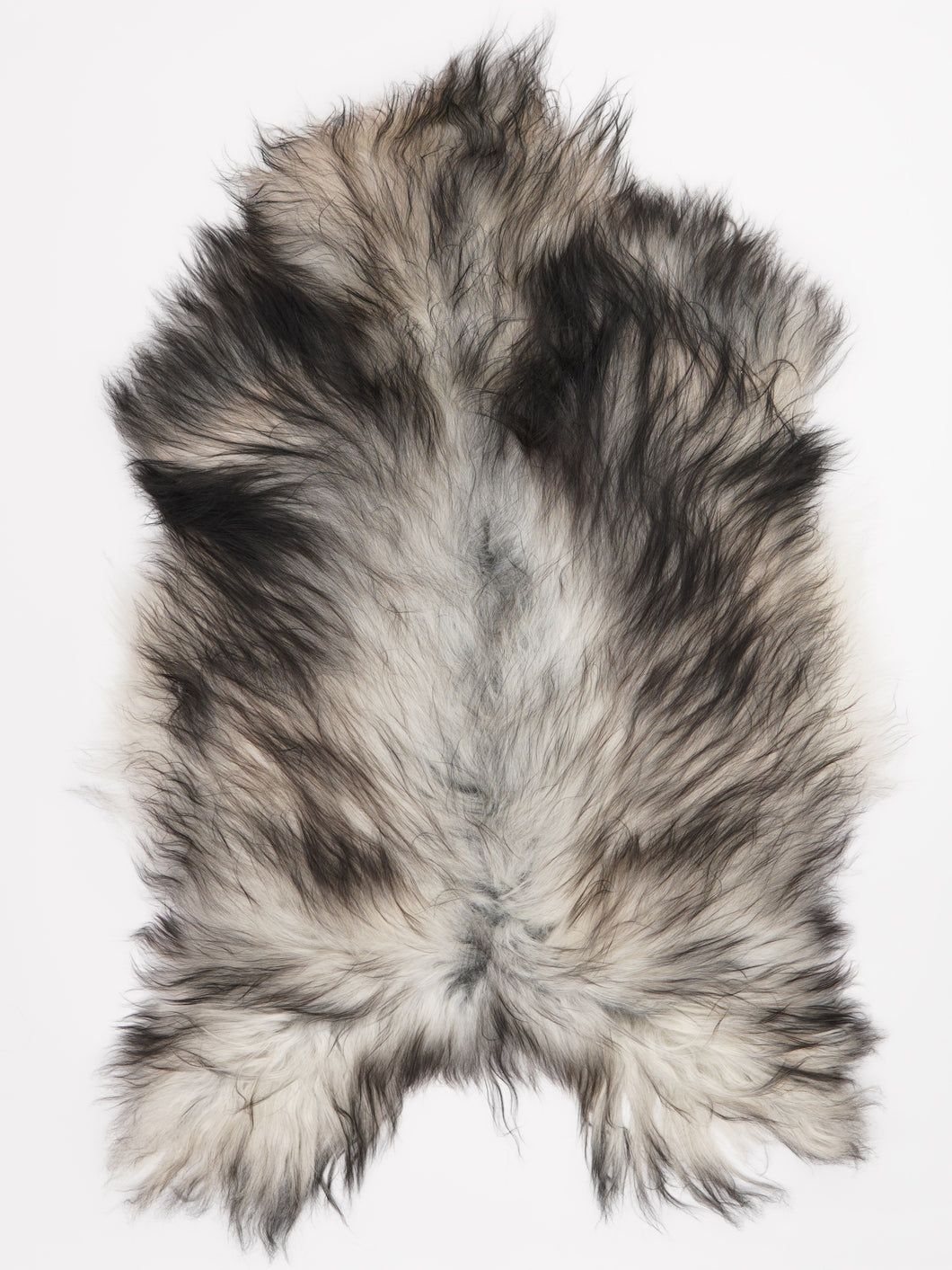 Pilkas islandiškas avikailis XL