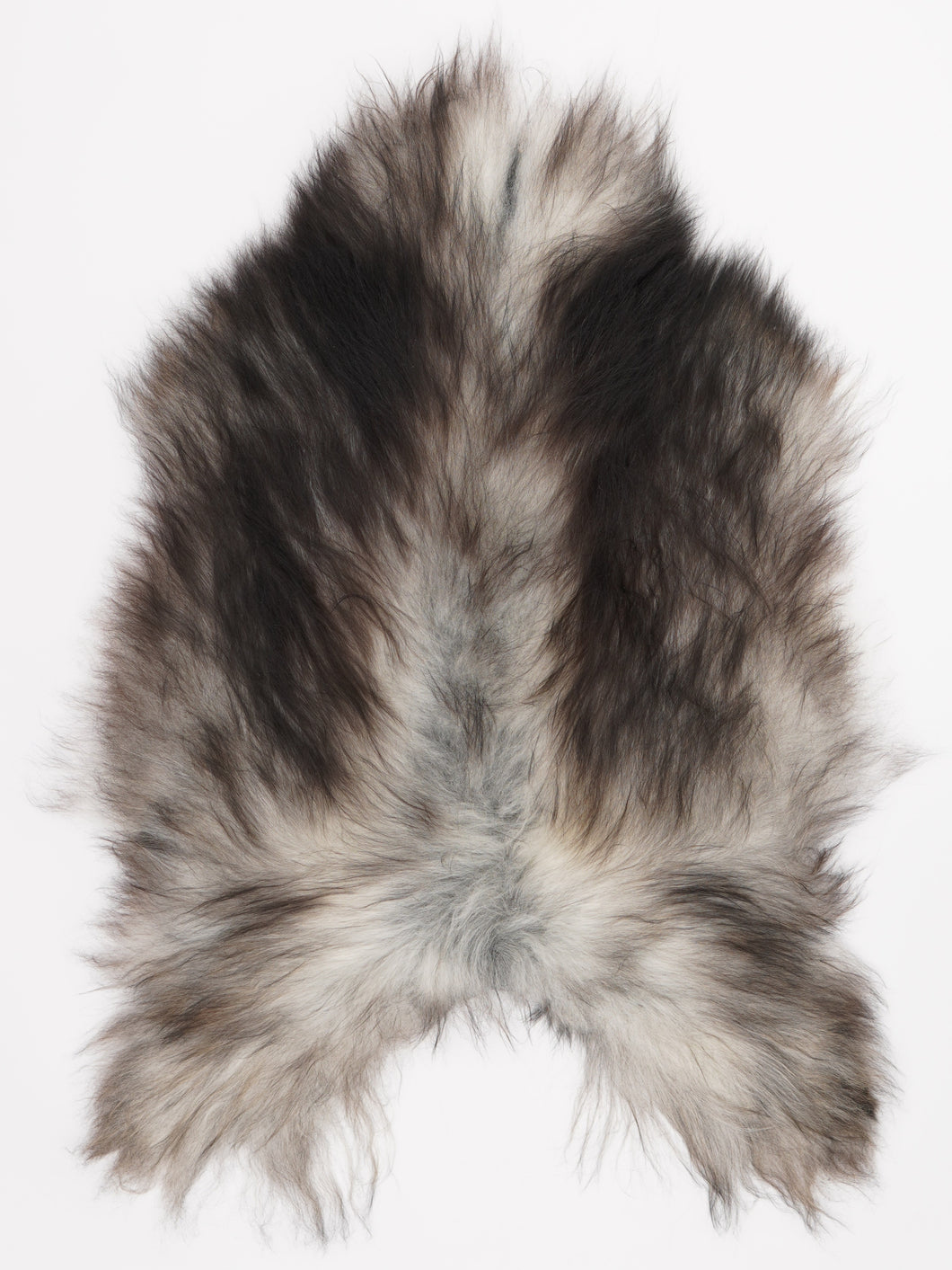 Pilkas islandiškas avikailis L