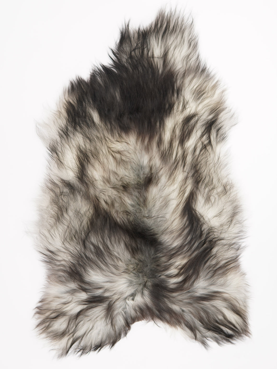 Pilkas islandiškas avikailis XL