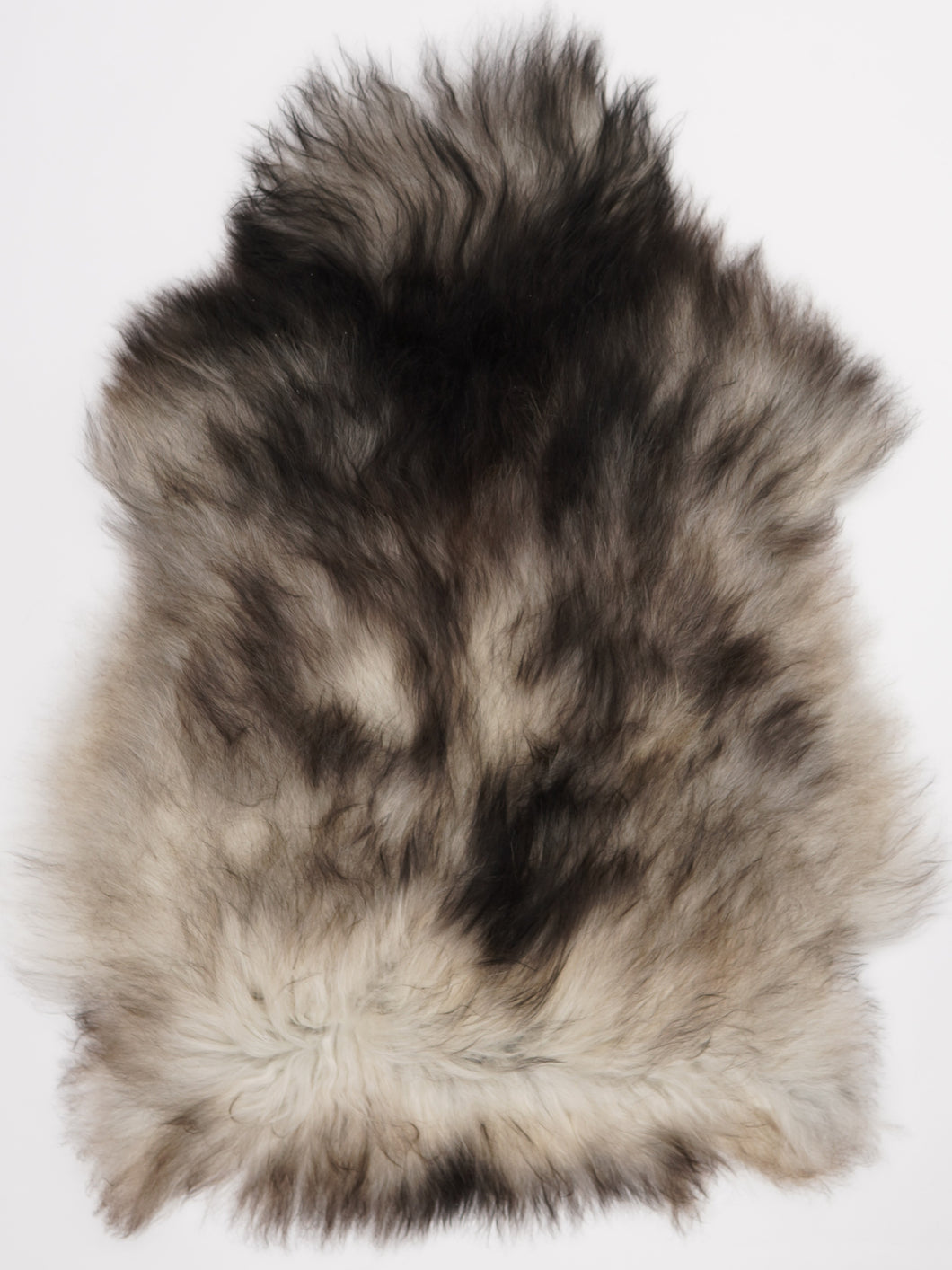 Pilkas islandiškas avikailis XL