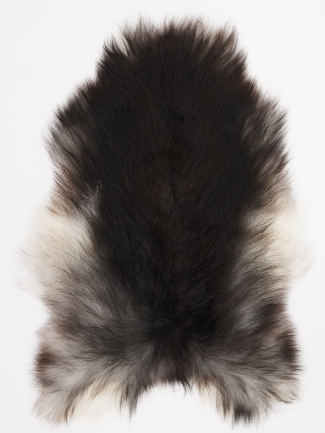 Pilkas islandiškas avikailis XL