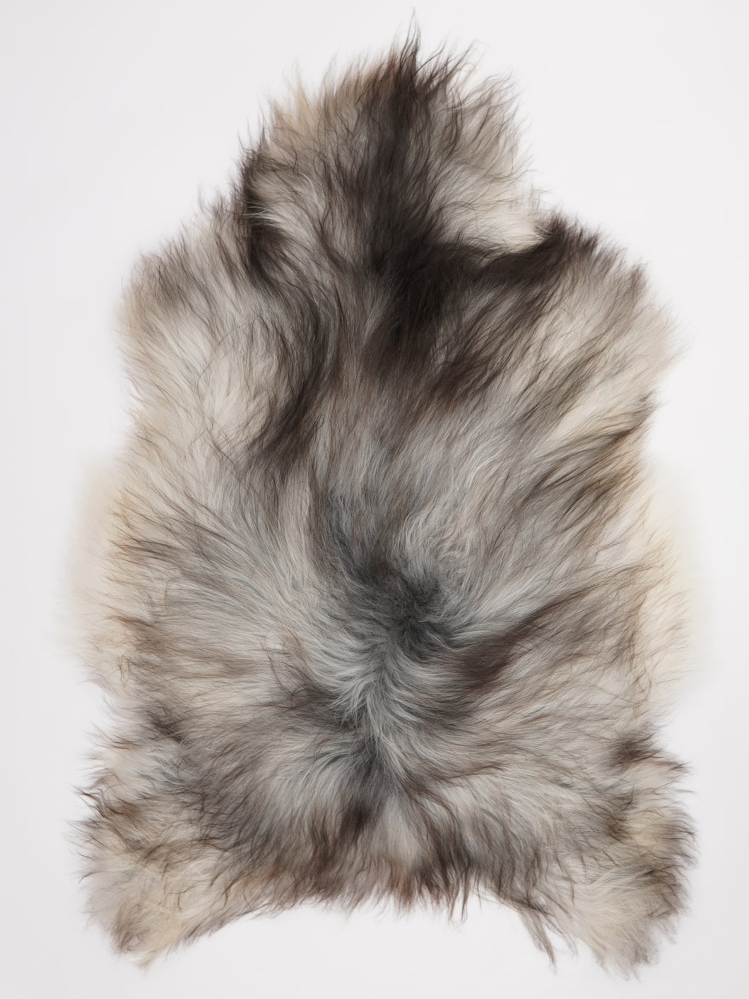 Pilkas islandiškas avikailis XXL