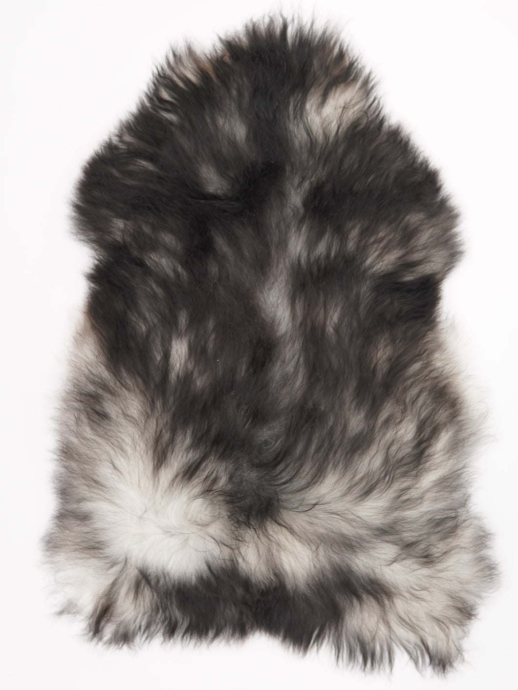 Pilkas islandiškas avikailis XXL