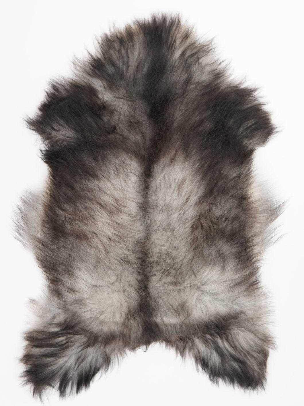 Pilkas islandiškas avikailis L