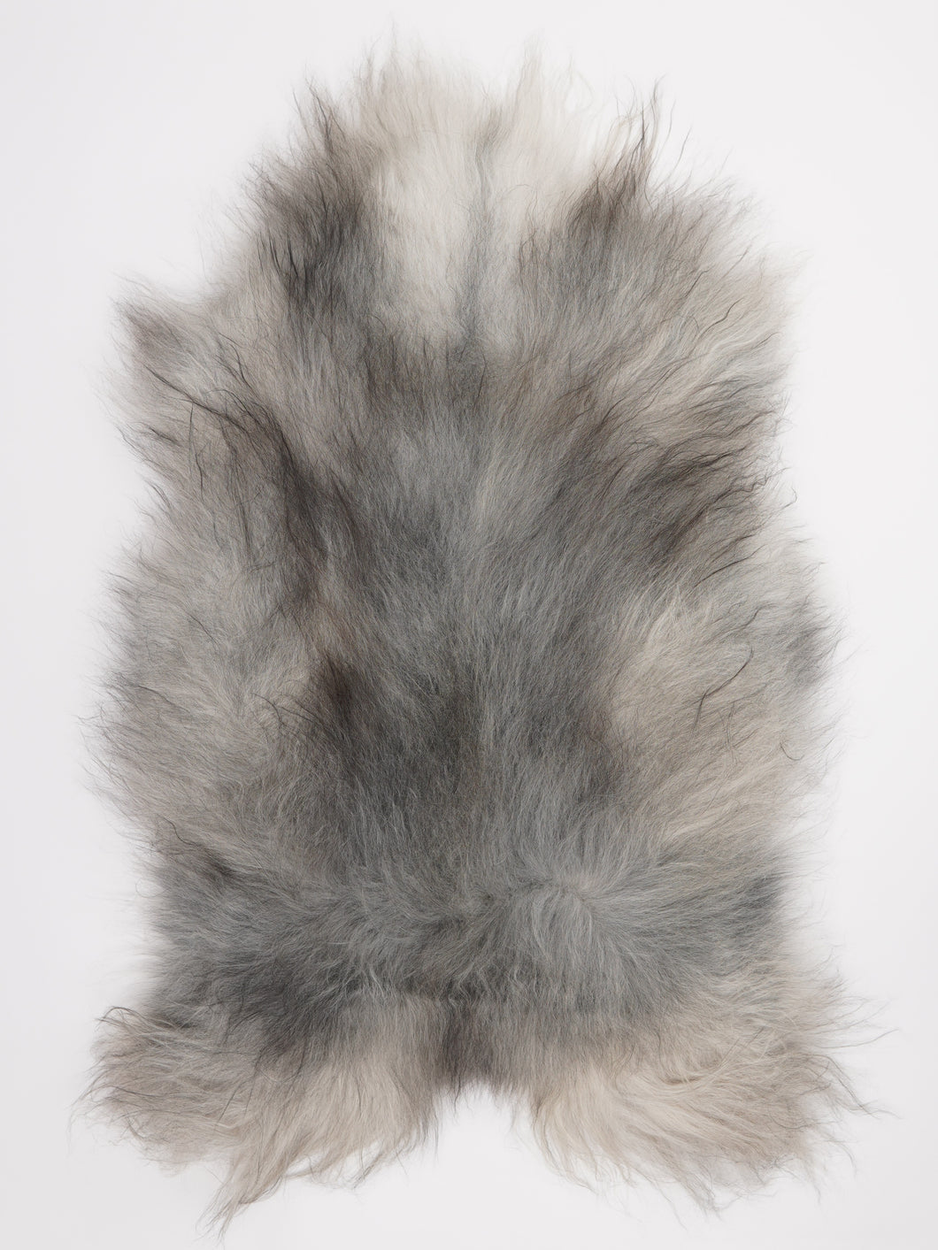 Pilkas islandiškas avikailis XXL