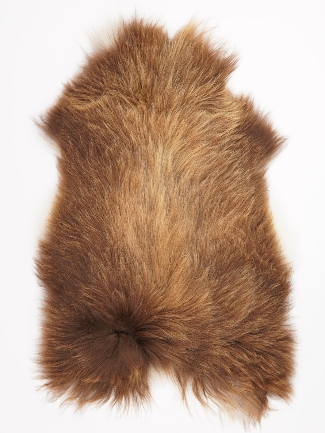 Islandská ovčí kůže XXL