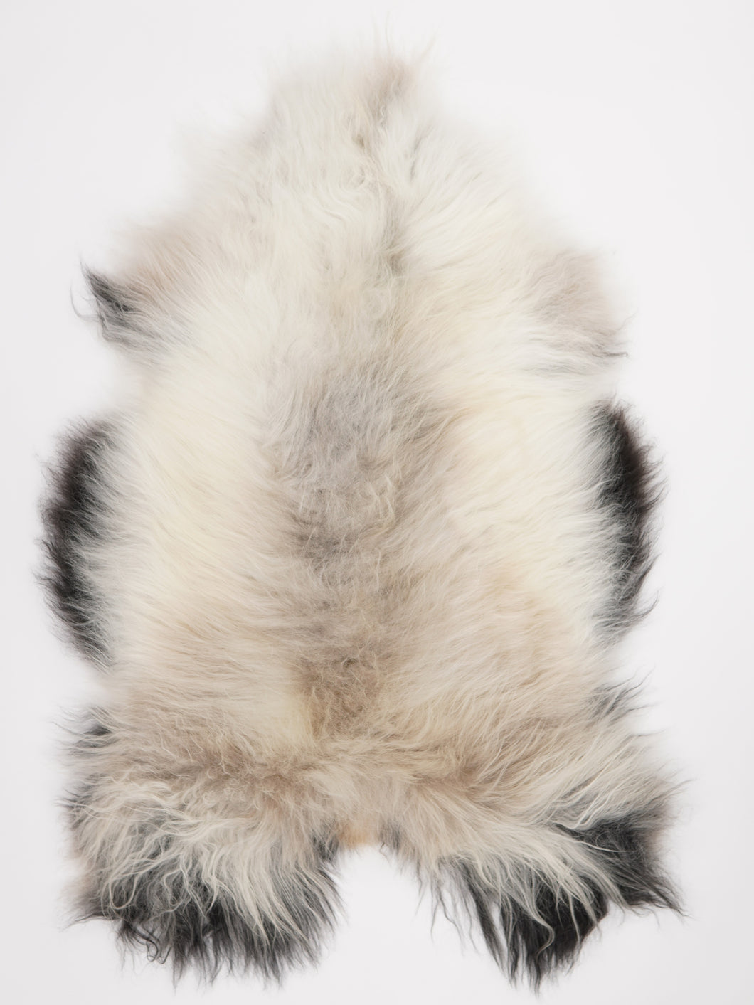 Islandská ovčí kůže XL