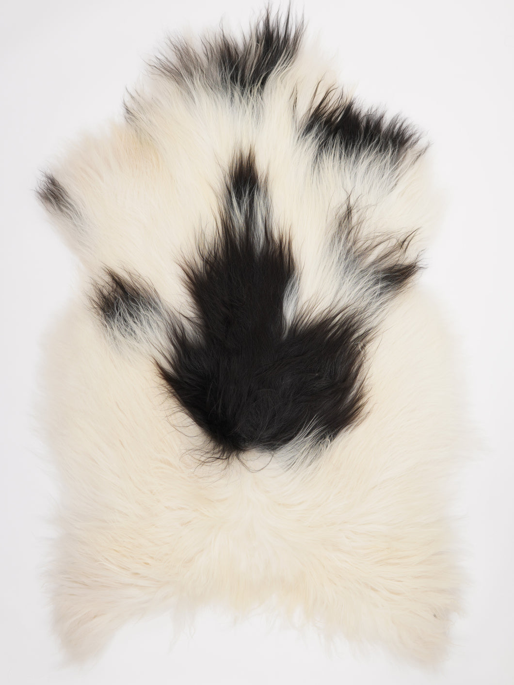 Islandská ovčí kůže XXXL