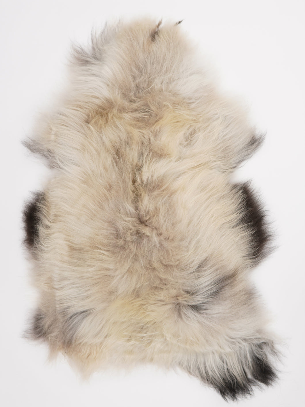 Islandská ovčí kůže XL