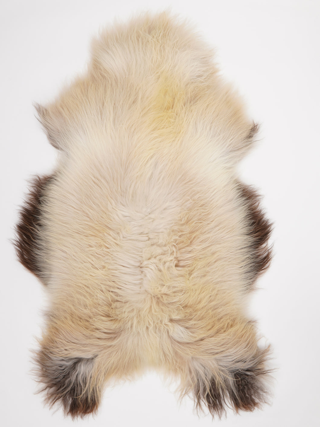 Islandská ovčí kůže XXXL